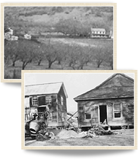 Historical photographys of MacMurray Estate Vineyards from 1941