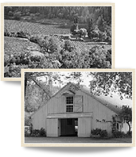 Historical photographys of MacMurray Estate Vineyards from the early 1900s