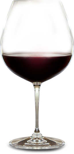 Glass of Pinot Noir from MacMurrage Estate Vineyards